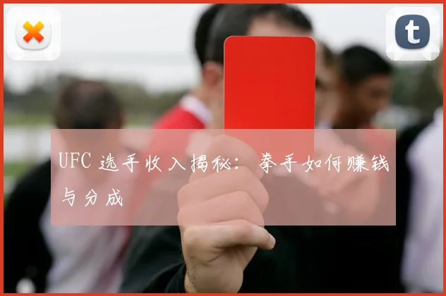 UFC 选手收入揭秘:拳手如何赚钱与分成