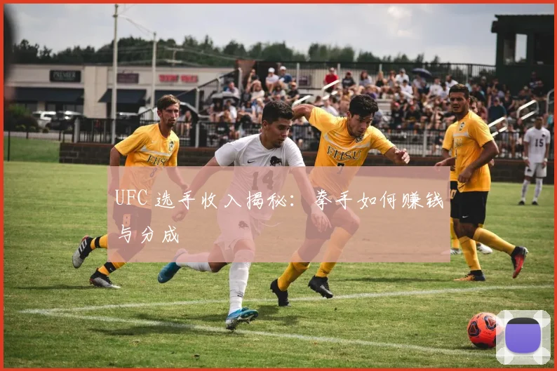 UFC 选手收入揭秘:拳手如何赚钱与分成